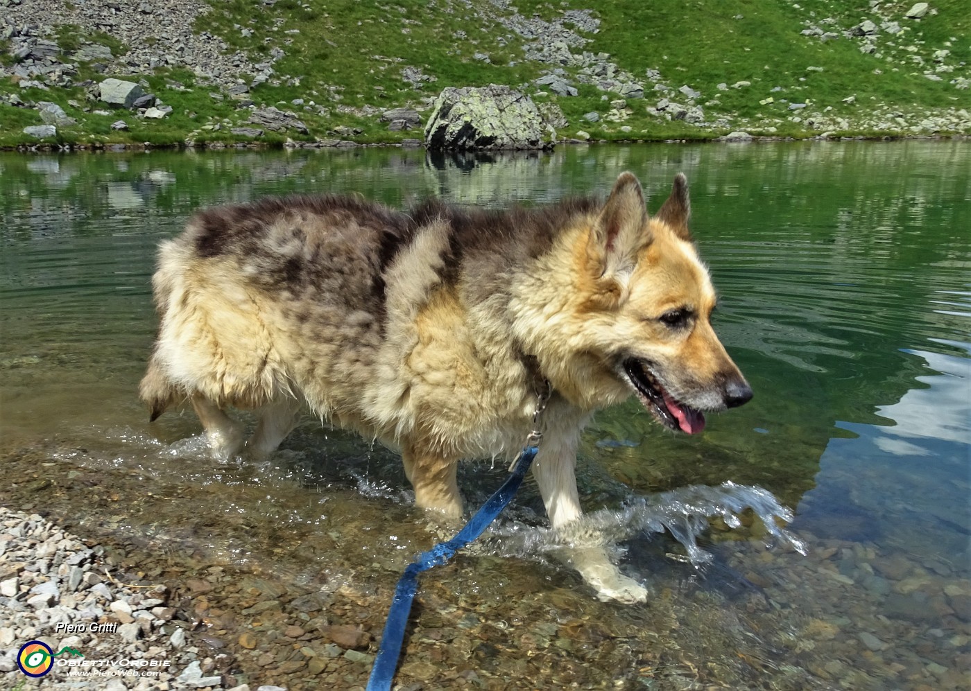 85 Bello camminare nell'acqua fresca !.JPG